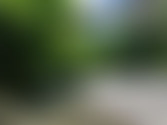 鱒・・・（よ，読めない）