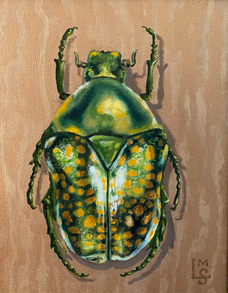 Green Scarab