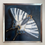 Thumbnail: Scarce Swallowtail