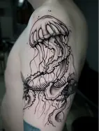 
Tavarismus-Linework-Tätowierung einer Meduse, die einen Fisch gefangen hat, nur das Skelett sichtbar, erstellt von Tiago Tavares.