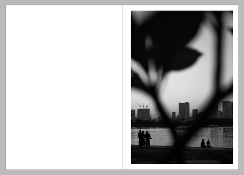 日本(にっぽん) : 写真記録 関東 1 (東京) 日本(にっぽん) : 写真記録 関東 1 (東京) 11 1946 In Tokyo