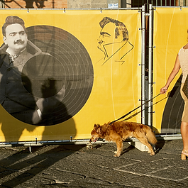 I am a street photographer with a passion for capturing the humour and beauty of everyday life. My work offers an intimate and often satirical look at modern society, highlighting the small moments that make life unique.  With my camera, I explore the streets, finding stories in the unnoticed corners of the city. Join me in my photographic journey and see the world through my lens, where reality and imagination come together in surprising ways.

私は日常生活のユーモアと美しさを捉えることに情熱を注ぐストリートフォトグラファーです。私の作品は、現代社会に対する親密で時には風刺的な視点を提供し、生活をユニークにする小さな瞬間を強調しています。カメラを手に、街を探検し、街の見落とされがちな隅々で物語を見つけ出します。私の写真の旅に参加し、現実と想像が驚くべき形で融合する世界を私のレンズを通して見てください。