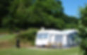 pine pitch.jpg