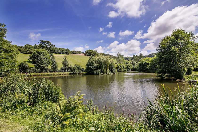 lake.jpg