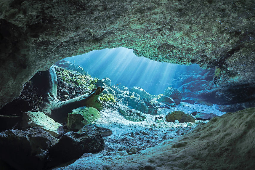 Sparkling Cave.jpg