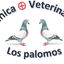 Foto del escritor: los palomos