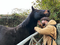 🐴 Horse whisperer