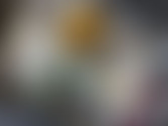 How to make Coconut Yogurt Mexican Paletas?