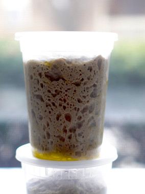How to Make Pizza Dough?