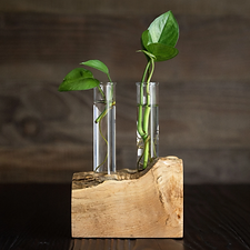 Propogation Station.png