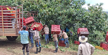 Compromiso Social 01.jpg