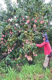 Compromiso Social 02.jpg