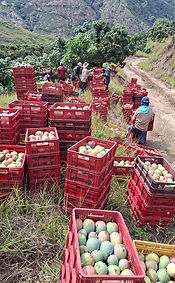 Compromiso Social 03.jpg