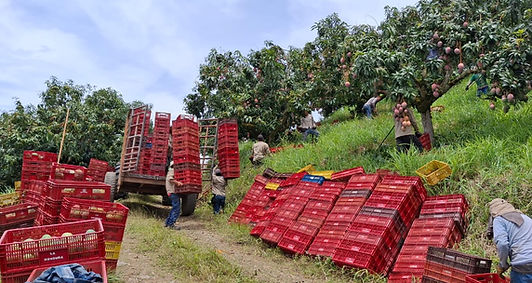 Imagen de WhatsApp 2025-07-29 a las 11.22.42_3db2ba4c.jpg