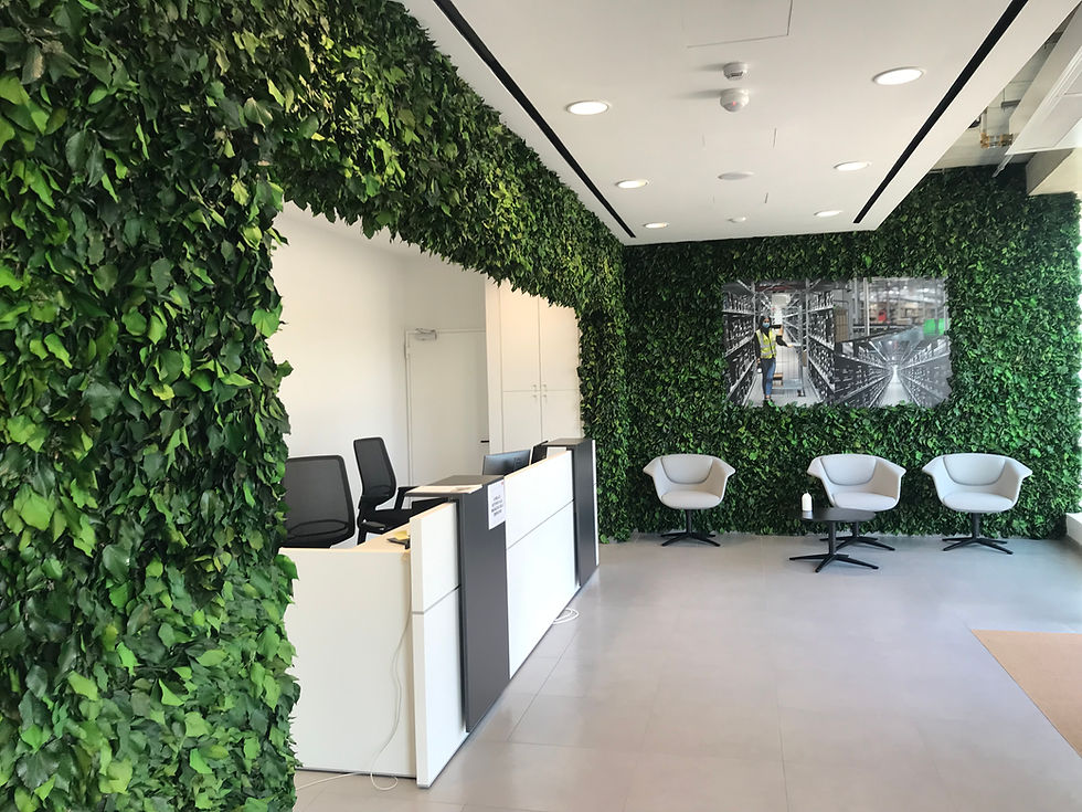 Miniatura: WALL FOREST HEDERA