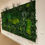 Miniatura: Wall Forest Mix Vegetation