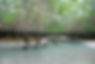 El estero.jpg