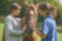 Female Vet Examining Horse In Field With Owner.jpg
