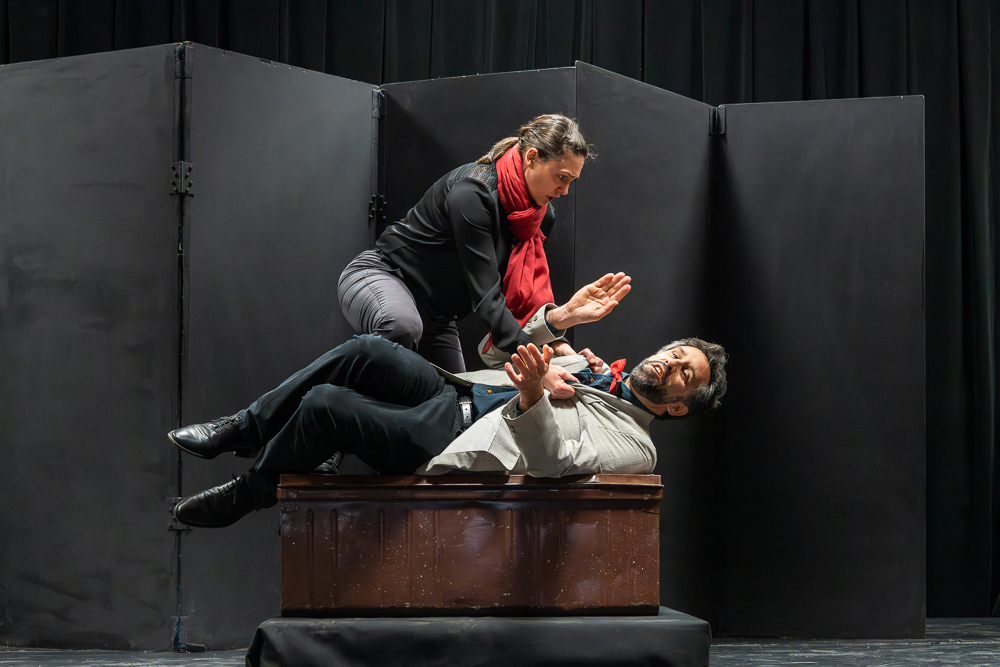 La compagnie de théâtre La Vallée du théâtre et Cle Sol en scène se produira au FESTIVAL DE THÉÂTRE DU HÉRISSON le 25 novembre 2023. La troupe jouera une pièce adaptée de la version de Molière : L'AVARE