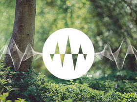 【pinky】FUNCTIONAL SOUND ZP65BOX 1700W Premium Audio Speaker Box