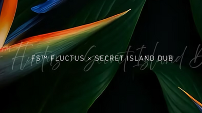 「FS™ FLUCTUS TROPICAL」変性意識と共時性