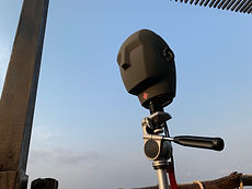 IMG_3737.jpeg