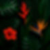 EB21648C-AB49-4D92-A8EC-49D649C95666.jpg