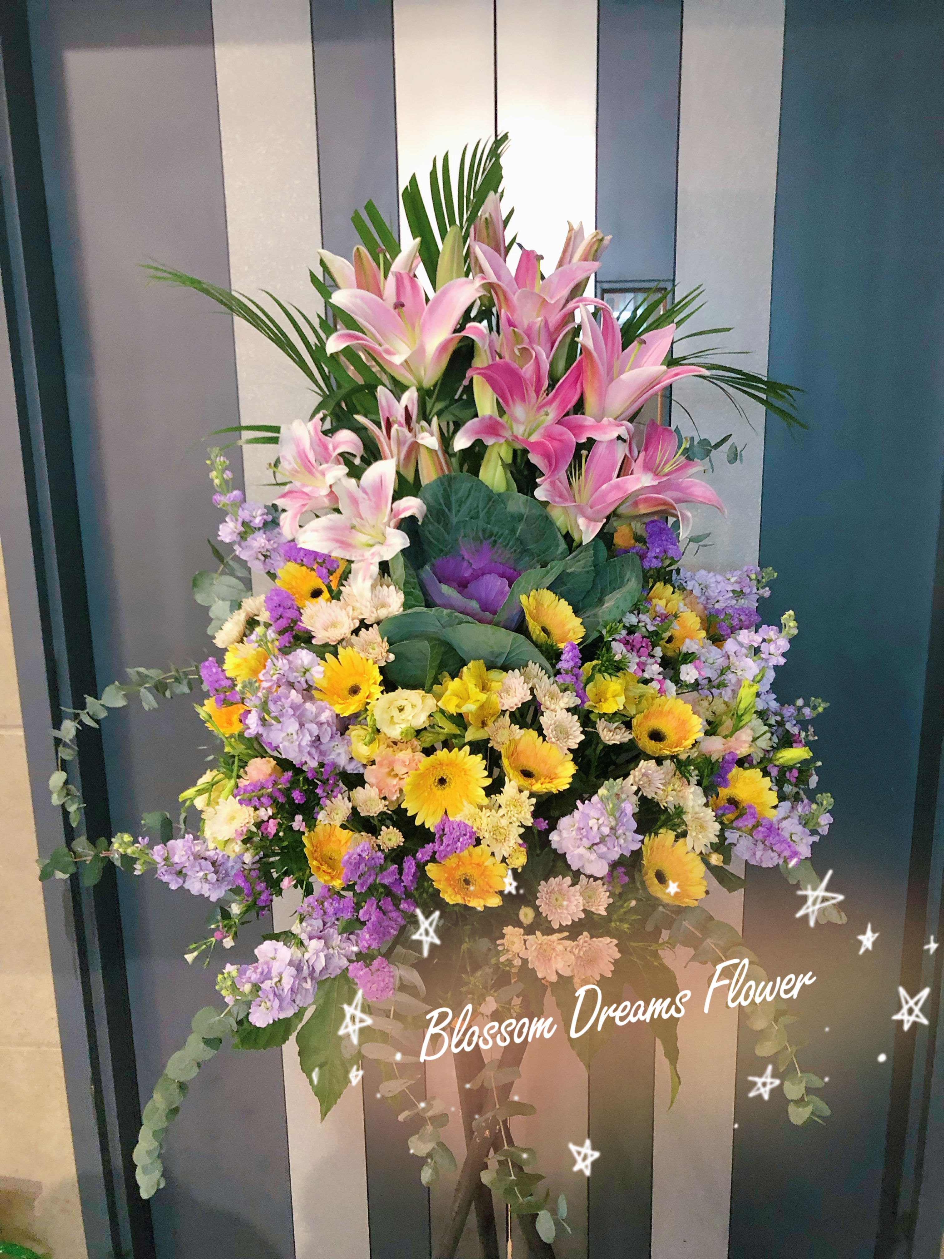 紫葉牡丹紫黃系列開張花籃