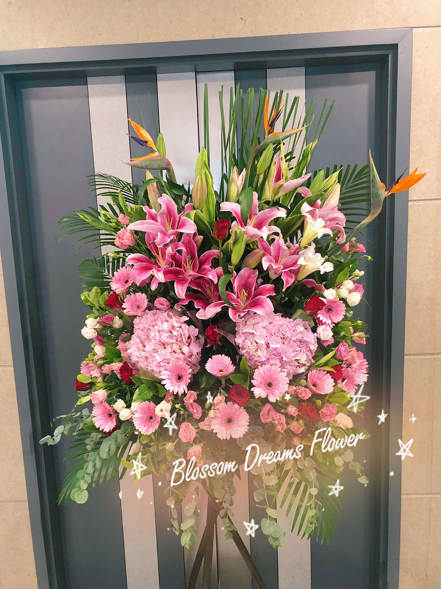 雙粉鏽球天堂鳥非洲菊開張花籃