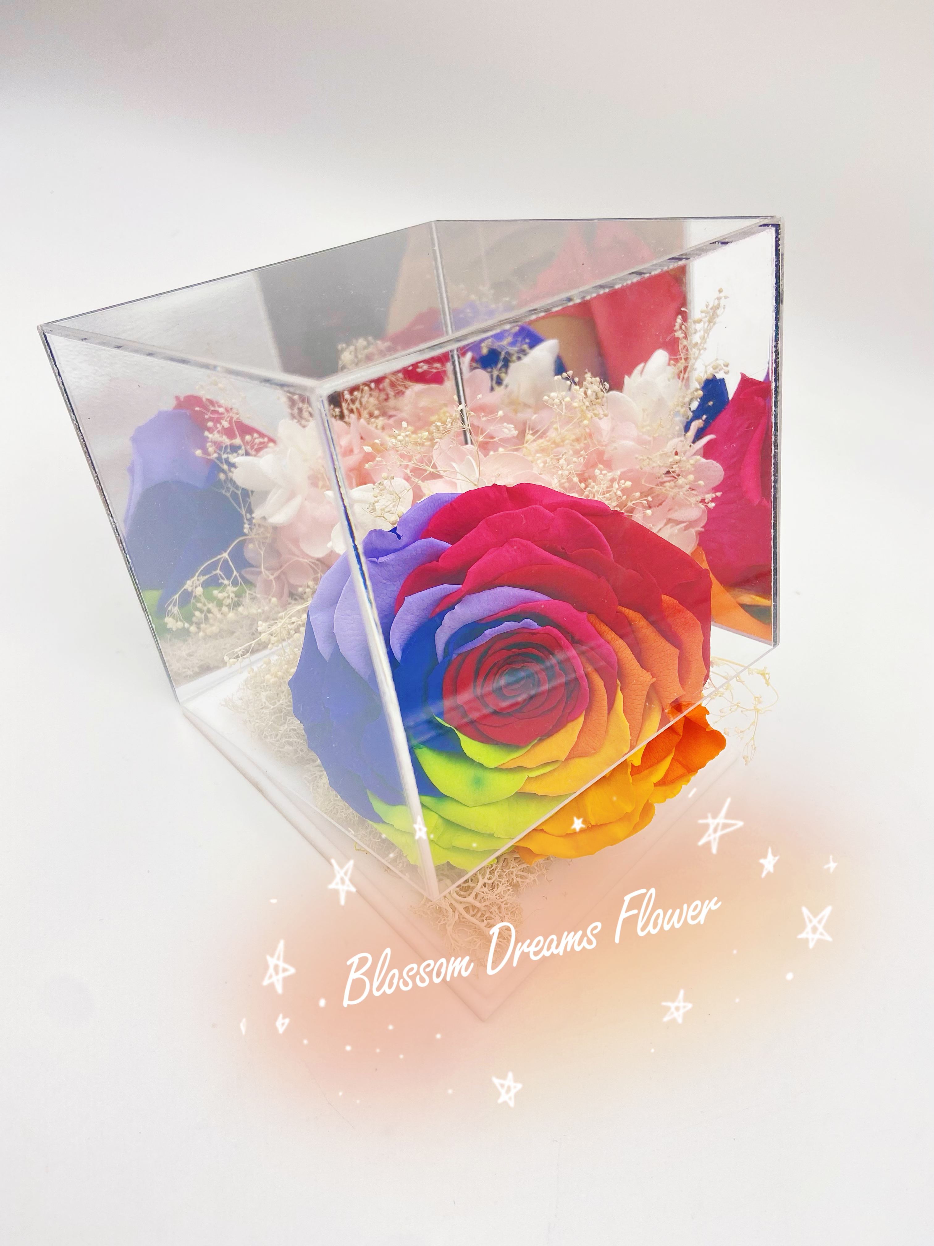 荷蘭進口七彩永生花