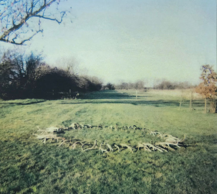 Antler sculpture