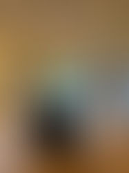 築約70年の邸宅の改修