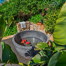 SongBird bath.jpg