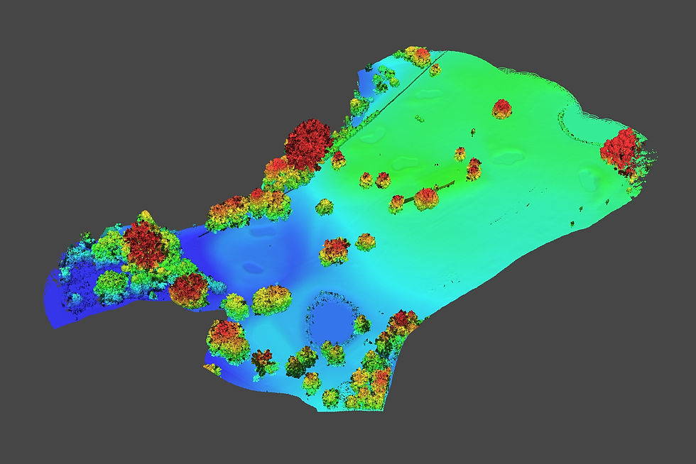 LiDAR Digital Surface Model of Golf Course
