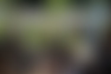 Será que a peça "Mário e as Marias" foi um sucesso? Confira as imagens!