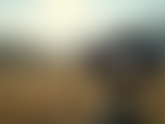 Wedding Content Capture in Western Sydney: Why UGC Beats Photos Alone
