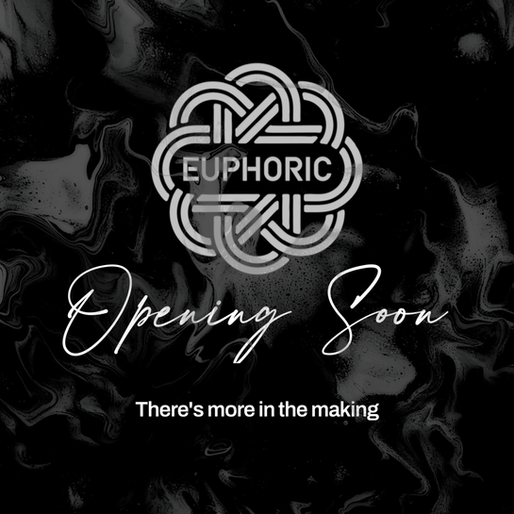 Euphoric Arts to open Chester Gallery this Summer