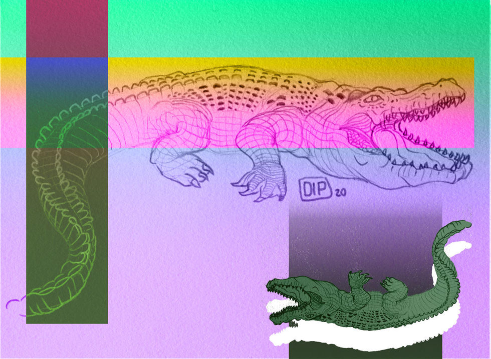 Croc