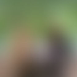 Internship Experience - Cedar Girls' Secondary School