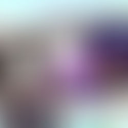 Celebrating 10 Years with raiSE: A Decade in Singapore’s Social Enterprise Ecosystem