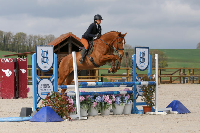 Cavalière sautant un obstacle fleuri SHF lors d'un concours Hunter