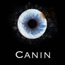 iris de chien sur fond noir