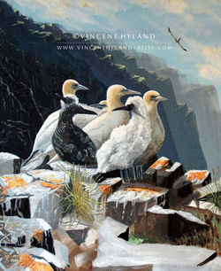 gannet-2048