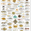 Thumbnail: The illustrated, Marine Fish and Shellfish of Ireland, poster print