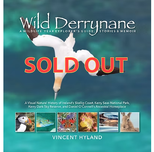 sold-out.png