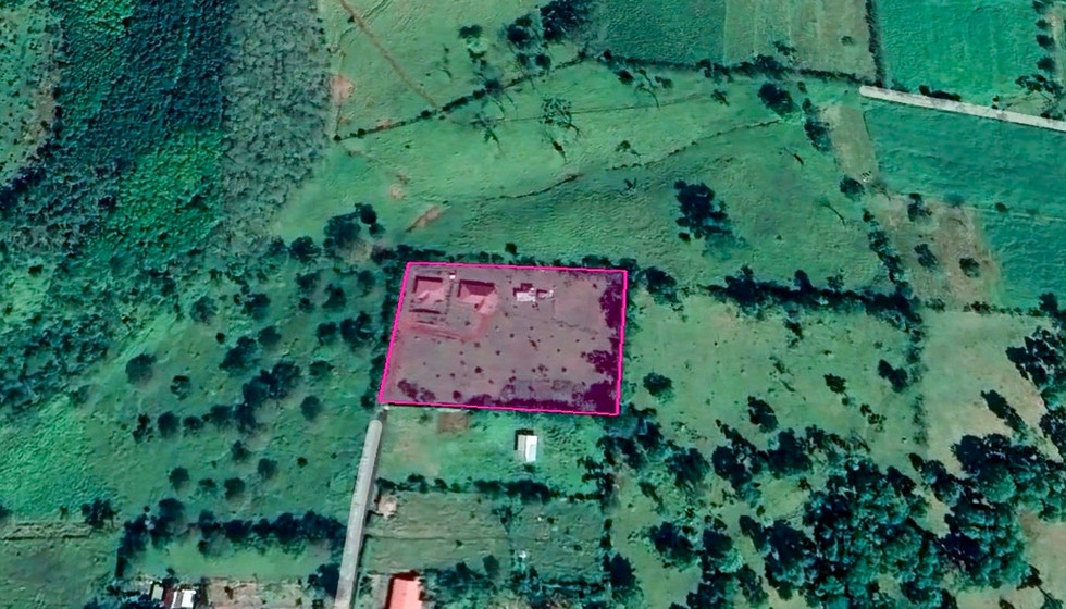 Nelitta Plano 1 .jpg