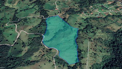 DROP DEAD GORGEOUS LAKE FARM