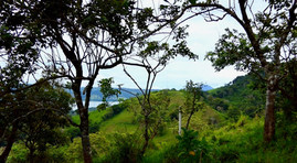 SMOKING HOT VOLCANO VIEW