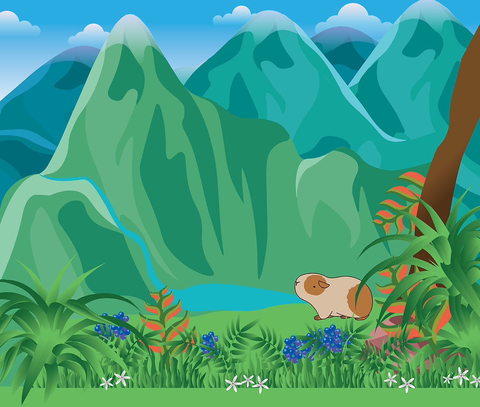 A OverOns Bg Website Design 3.0 FINAL.jpg