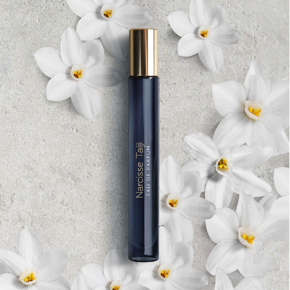 Format voyage Narcisse taiji - ATELIER MATERI